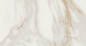 CALACATTA ORO 30,5x56