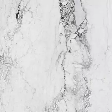 Carrelage MEDICEA MARBLE – marbre blanc aux veines grises artistiques – MagasinDeCarrelage-VAL D'OISE-FRANCE